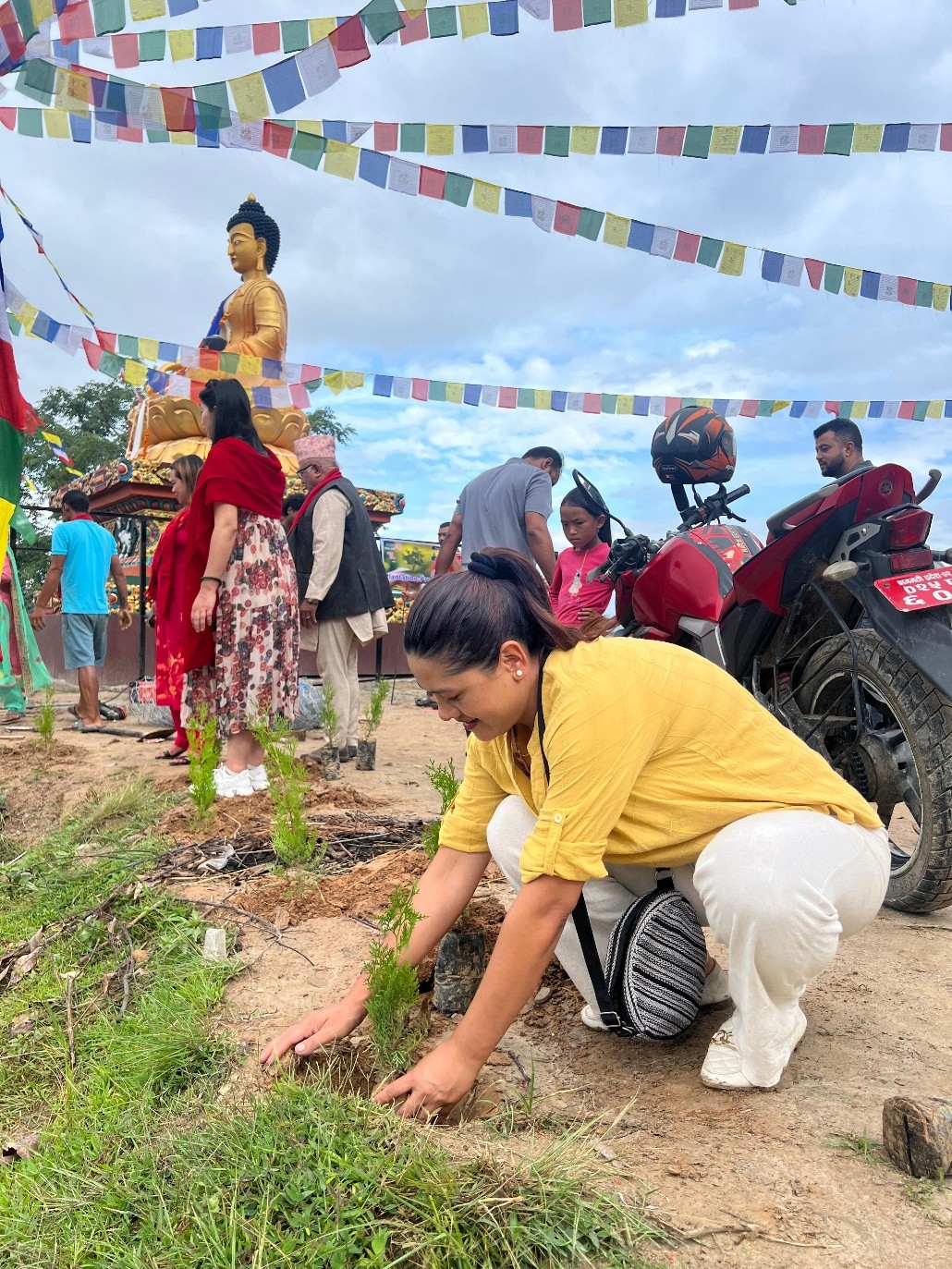 180 FOR 50,000 DISTRICT PLANTATION PROGRAM