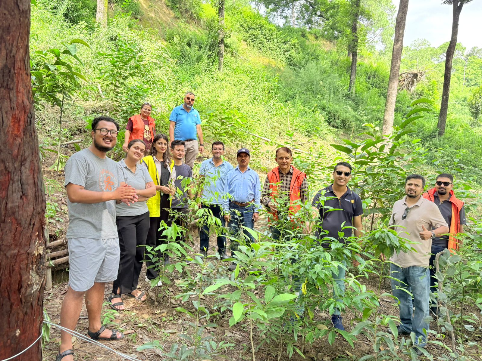 Plantation Program